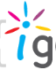 igebra.ai Logo
